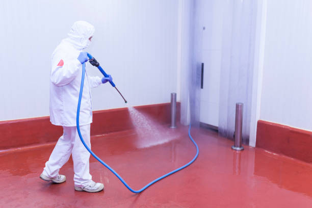 Best Post-Construction Pressure Washing  in Clever, MO