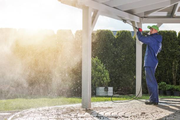 Best Animal Enclosure Cleaning  in Clever, MO