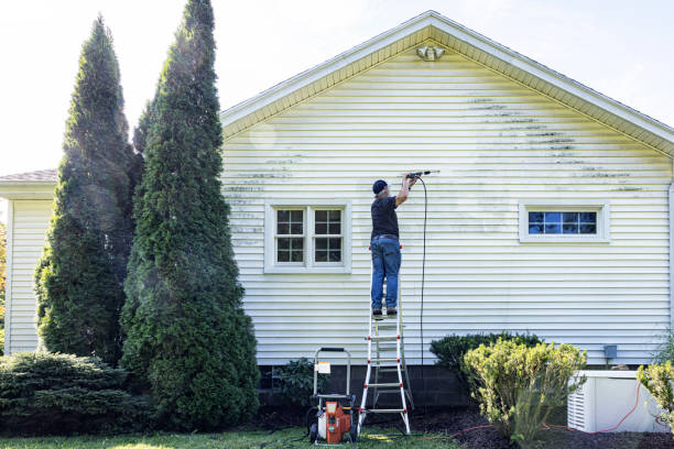 Best Building Exterior Washing  in Clever, MO
